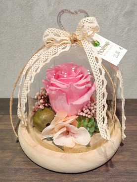 Rose éternelle rose